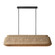 Eco Five Light Linear Pendant in Matte Black (102|ECO-8299-MBLK)