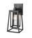 Denzell One Light Outdoor Wall Sconce in Powder Coated Black (59|198401-PBK)