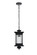 Collins One Light Outdoor Pendant in Black (173|OD316H18BK)