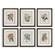 Orchid Framed Prints Set/6 (52|32447)