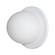 Raquel s LED Wall Sconce in White (443|WS127)