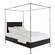 Reese Queen Bed in Cerused Forest Black|Dark Antique Brass (550|SCH-175599)