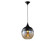 Robertson Blvd. One Light Pendant in Black (192|HF9111-BK/BZ)