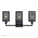Twinewell Three Light Vanity in Black (107|14043-04)
