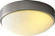 Journey LED Ceiling Mount in Satin Nickel (19|3-622-24)