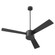 Allegro 52'' Ceiling Fan in Black (19|3-119-15)
