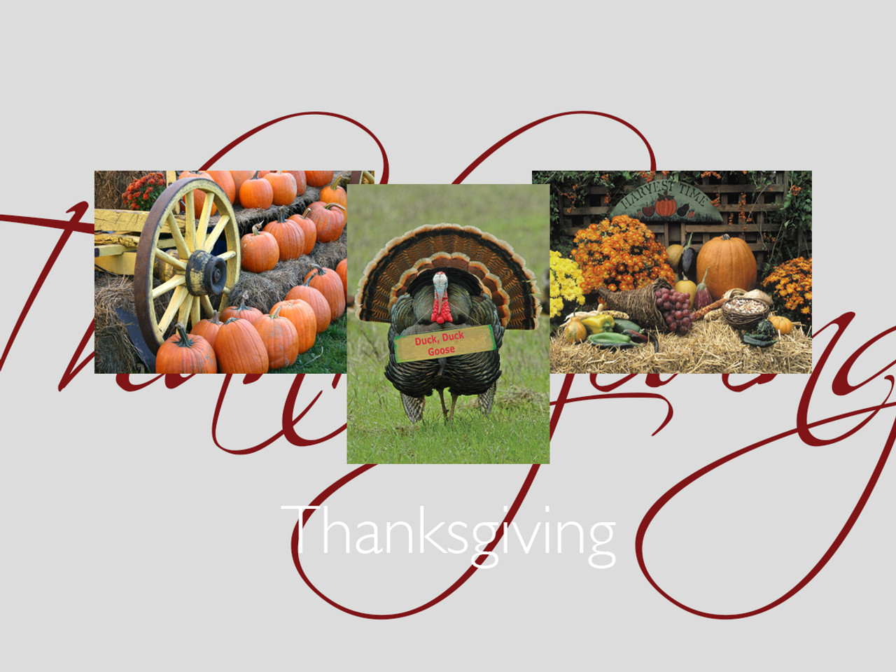 Thanksgiving banner featuring 3 best-selling Thanksgiving cards