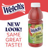 Welch s Strawberry Kiwi Juice, 16 Fluid Ounce, 12 Per Case