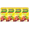 Mott s Mini 100% Juice Fruit Punch, 16.92 Fluid Ounces, 11 Per Case Mott s Mini 100% Juice Fruit Punch, 16.92 Fluid Ounces, 11 Per Case