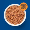 9 Lives Pate Wet Chicken Cat Food, 5.5 Ounce, 24 Per Case