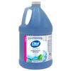 Dial Antibacterial Foaming Hand Wash, Spring Water Scent, 1 Gal Bottle, 4/carton