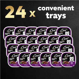 Cesar Dog Food Canine Cuisine Filet Mignon In Sauce, 3.5 Ounce, 24 Per Case Cesar Dog Food Canine Cuisine Filet Mignon In Sauce, 3.5 Ounce, 24 Per Case