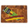 Kickass Jalapeno Cheese and Sausage Snack Stick, 1.5 Ounce, 21 Per Box, 6 Per Case Kickass Jalapeno Cheese and Sausage Snack Stick, 1.5 Ounce, 21 Per Box, 6 Per Case