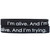 2 of I'm Alive and I'm Trying Wristbands