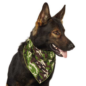 Aria Camo Bandanas Pink N274-BP01DT4440_75 Aria Camo Bandanas Pink N274-BP01DT4440_75