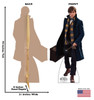 Life-size Newt Scamander Fantastic Beasts Cardboard Cutout