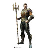 Aquaman - Injustice Gods Among Us - Cardboard Cutout Front View