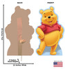 Life-size cardboard standee of Winnie the Pooh with front and back dimensions.