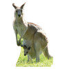 Life-size Kangaroo Cardboard Standup