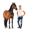 Life-size Horse 2 Cardboard Cutout