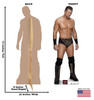 The MIZ Life-size cardboard standee front and back with dimensions.
