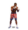 Life-size cardboard standee of Adonis Creed from Creed II. 