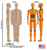 Life-size cardboard standee of Crash Test Dummies (set of two) with back and front dimensions.