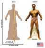 Life-size cardboard standee of Charles Atlas bodybuilder with back and front dimensions.