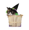 Life-Size Grumpy Cat Halloween Cardboard Cutout