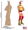 Life-size cardboard standee of Hulk Hogan with back and front dimensions.