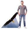 Life-size cardboard standee of an American Eagle with model.