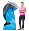 Life-size cardboard standee of a Dolphin with model.
