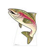 Life-size cardboard standee of a Rainbow Trout.