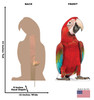 Life-size cardboard standee of a Red Parrot with back and front dimensions.