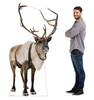 Life-size cardboard standee of a Reindeer with model.