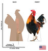 Life-size cardboard standee of a Rooster with back and front dimensions.