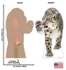 Life-size cardboard standee of a Snow Leopard with back and front dimensions.