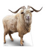 Life-size cardboard standee of a Wild Mountain Goat.