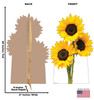 Life-size cardboard standee of a Sunflowers with back and front dimensions.
