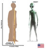 Life-size cardboard standee of a Big-Eyed Alien with back and front dimensions.