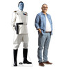 Life-size cardboard standee of Grand Admiral Thrawn with model.