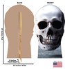 Life-size cardboard standee of a Skull with back and front dimensions.