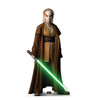 Life-size cardboard standee of Jedi Padawan Jecki Lon.