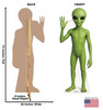 Life-size Cardboard standee of a Friendly Alien with back and front dimensions.
