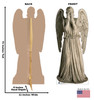 Life-size Cardboard standee of the Weeping Angel with back and front dimensions.