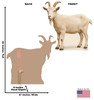 Life-size cardboard standee of a Goat with back and front dimensions.
