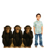 Life-size cardboard standee of Hear, See, Speak No Evil Monkeys with model.