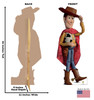 Life-size cardboard standee of Woody with back and front dimensions.