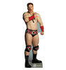 Life-size Sheamus Cardboard Standup | Cardboard Cutout