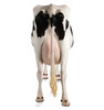Life-size Cow's Rear Cardboard Standup | Cardboard Cutout